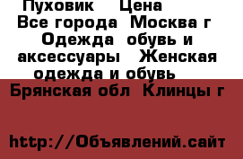 Пуховик  › Цена ­ 900 - Все города, Москва г. Одежда, обувь и аксессуары » Женская одежда и обувь   . Брянская обл.,Клинцы г.